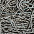 1.4 「Loop」ボタンで、シーンをループ再生しよう。
